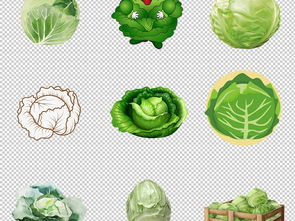 綠色健康生活 蔬菜圖庫素材大全與實用指南